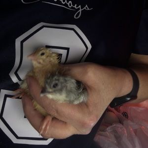 Meet your Posher, Deborah